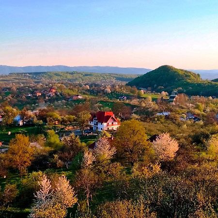 Casa Comilor Surdesti (Maramures) Exterior photo