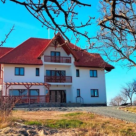 Casa Comilor Surdesti (Maramures) Exterior photo