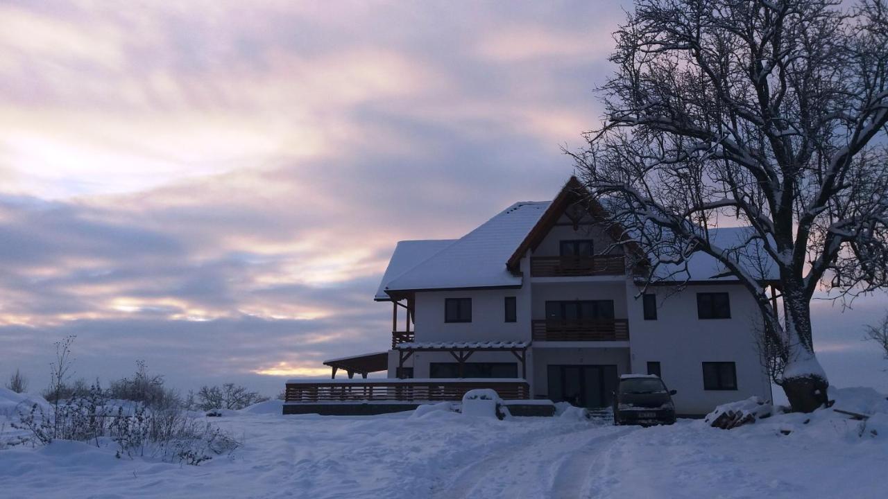 Casa Comilor Surdesti (Maramures) Exterior photo