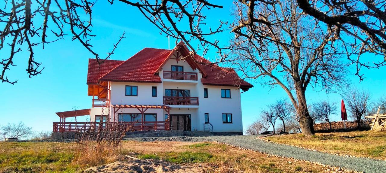 Casa Comilor Surdesti (Maramures) Exterior photo