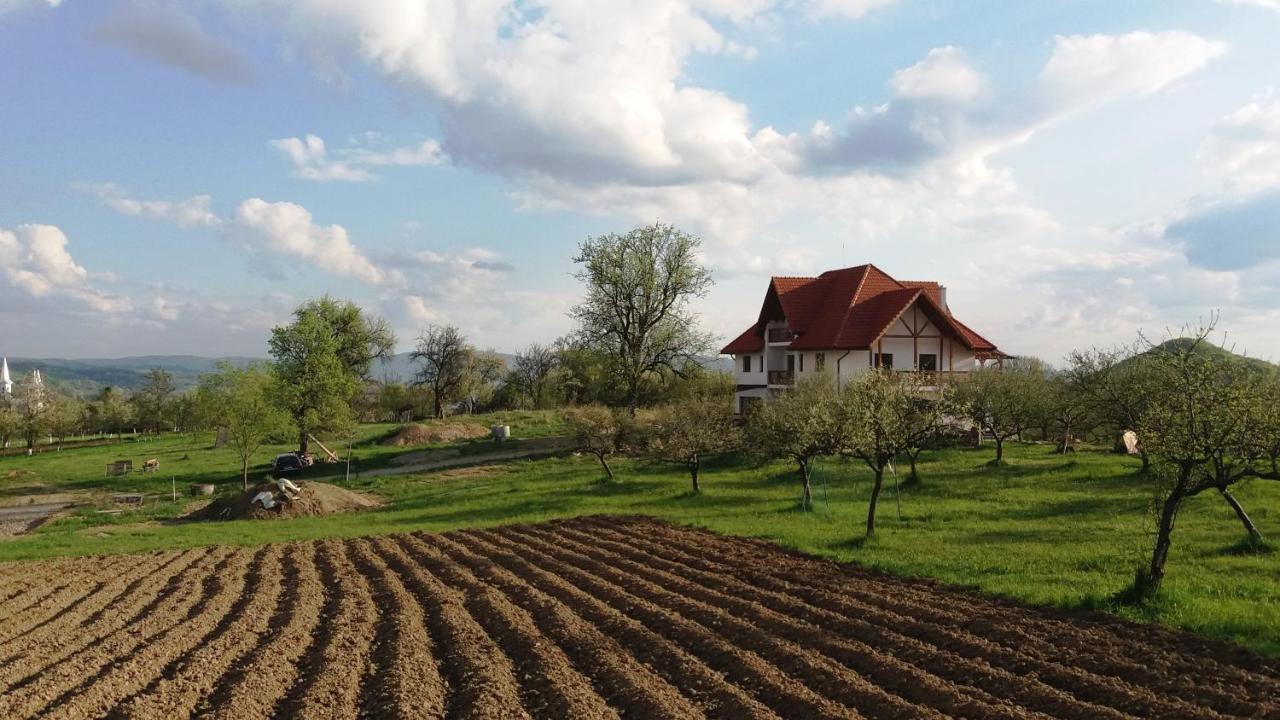 Casa Comilor Surdesti (Maramures) Exterior photo
